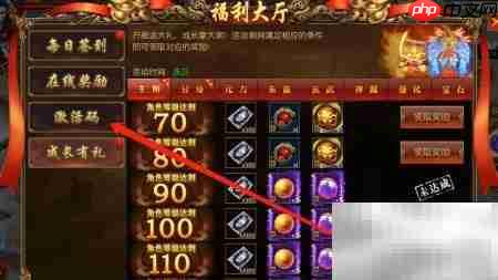 龙腾天下激活码使用指南