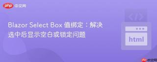 Blazor Select Box 值绑定:解决选中后显示空白或锁定问题