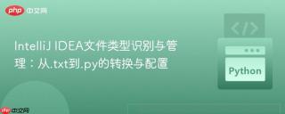 IntelliJ IDEA文件类型识别与管理：从.txt到.py的转换与配置

