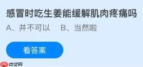 感冒时吃生姜能缓解肌肉疼痛吗？蚂蚁庄园今日答案最新11.21