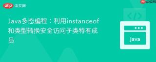Java多态编程：利用instanceof和类型转换安全访问子类特有成员