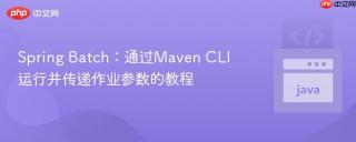 Spring Batch：通过Maven CLI运行并传递作业参数的教程