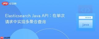 Elasticsearch Java API：在单次请求中实现多聚合查询