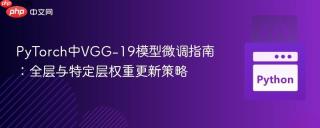 PyTorch中VGG-19模型微调指南：全层与特定层权重更新策略
