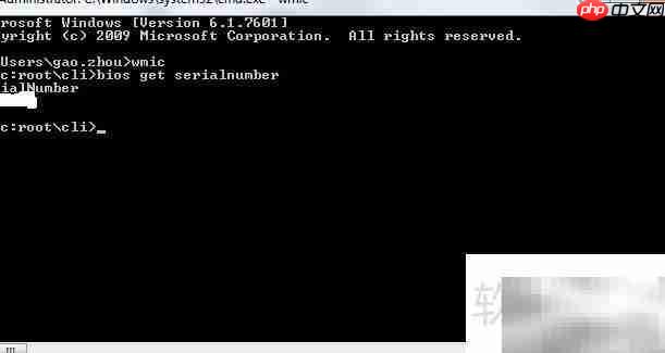 Dell服务标签查询指南