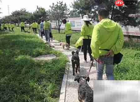 如何选择优质训犬师培训学校