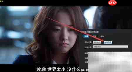 如何用看看播放器加载网络字幕