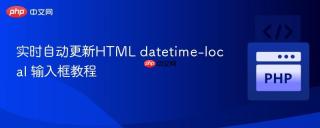 实时自动更新HTML datetime-local 输入框教程
