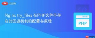 Nginx try_files 在PHP文件不存在时回退机制的配置与原理
