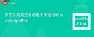 页面加载延迟自动选中单选框的JavaScript教程