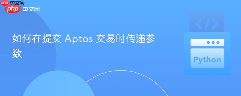 如何在提交 aptos 交易时传递参数