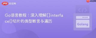 Go语言教程：深入理解[]interface{}切片的类型断言与遍历

