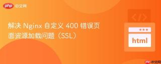 解决 Nginx 自定义 400 错误页面资源加载问题（SSL）