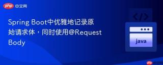 Spring Boot中优雅地记录原始请求体，同时使用@RequestBody