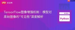 TensorFlow图像增强机制:模型对原始图像的“可见性”深度解析