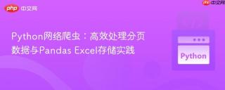 Python网络爬虫：高效处理分页数据与Pandas Excel存储实践