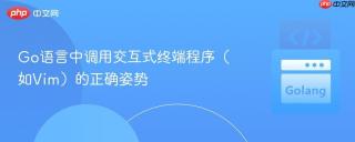 Go语言中调用交互式终端程序（如Vim）的正确姿势
