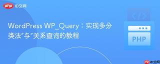 WordPress WP_Query：实现多分类法“与”关系查询的教程