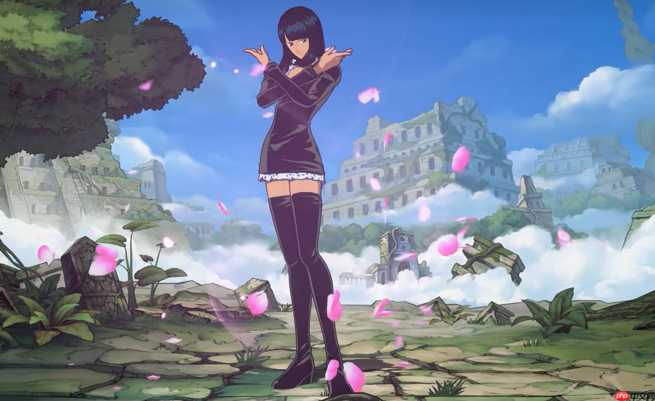 《航海王壮志雄心》妮可罗宾介绍