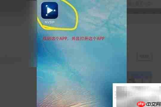 NVSIPID网络监控设置指南