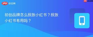 初创品牌怎么投放小红书？投放小红书有用吗？