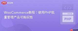 WooCommerce教程:使用PHP批量管理产品可购买性