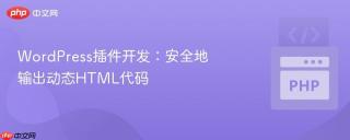 WordPress插件开发：安全地输出动态HTML代码
