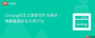 Golang自定义类型切片与指针:理解值类型与引用行为