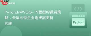 PyTorch中VGG-19模型的微调策略:全层与特定全连接层更新实践