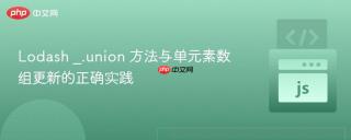 Lodash _.union 方法与单元素数组更新的正确实践