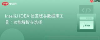 IntelliJ IDEA 社区版与数据库工具：功能解析与选择