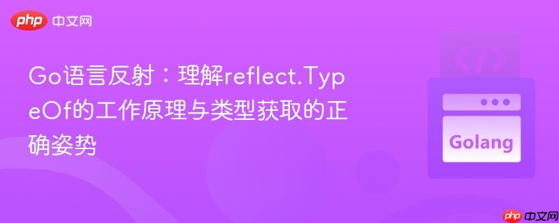 go语言反射:理解reflect.typeof的工作原理与类型获取的正确姿势
