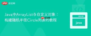 Java中ArrayList与自定义对象：构建随机半径Circle列表的教程
