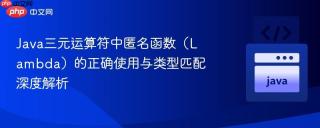 Java三元运算符中匿名函数（Lambda）的正确使用与类型匹配深度解析