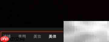 QQ美体使用教程