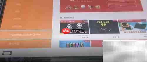 NS会员购买指南