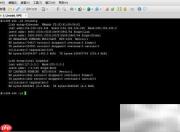 Linux系统打补丁与软件升级指南