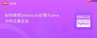 如何使用selenium处理iframe中的元素定位