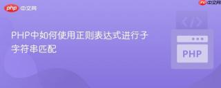 PHP中如何使用正则表达式进行子字符串匹配