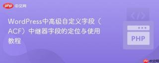 WordPress中高级自定义字段（ACF）中继器字段的定位与使用教程