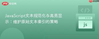 JavaScript文本规范化与高亮显示：维护原始文本索引的策略