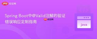 Spring Boot中@Valid注解的验证错误响应定制指南
