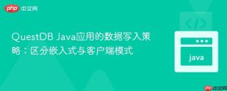 QuestDB Java应用的数据写入策略：区分嵌入式与客户端模式