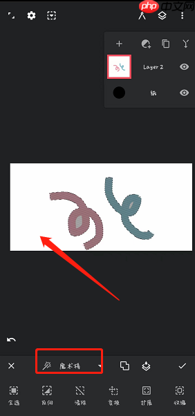 《painter》导出透明底教程