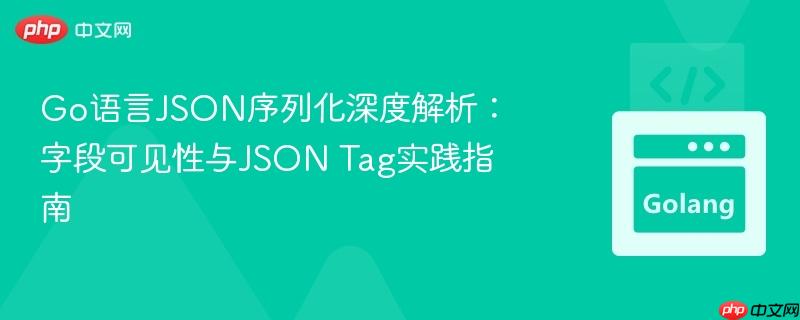 Go语言JSON序列化深度解析：字段可见性与JSON Tag实践指南
