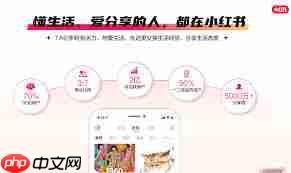 被小红书官方私信会怎样