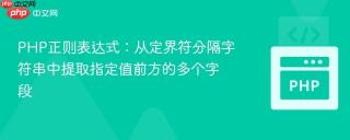 PHP正则表达式：从定界符分隔字符串中提取指定值前方的多个字段