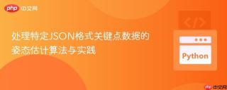 处理特定JSON格式关键点数据的姿态估计算法与实践