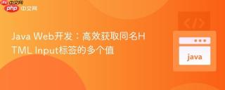 Java Web开发：高效获取同名HTML Input标签的多个值