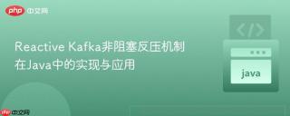 Reactive Kafka非阻塞反压机制在Java中的实现与应用
